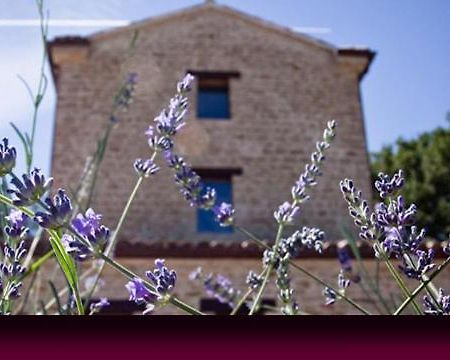 L'Alboreto Salvatico Homestay Serra San Quirico Kültér fotó