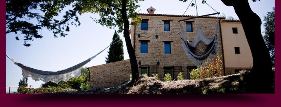 L'Alboreto Salvatico Homestay Serra San Quirico Kültér fotó